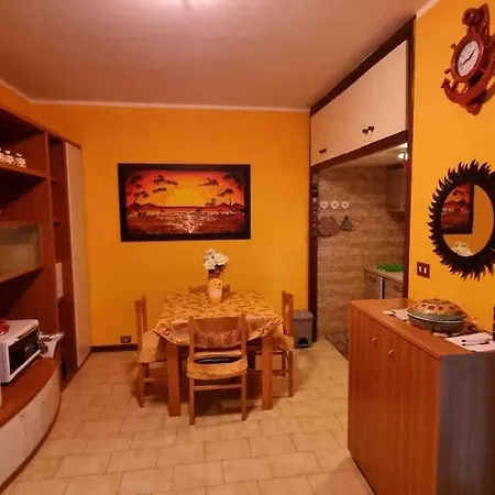 A 锡尔维玛丽娜