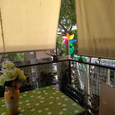 A 锡尔维玛丽娜