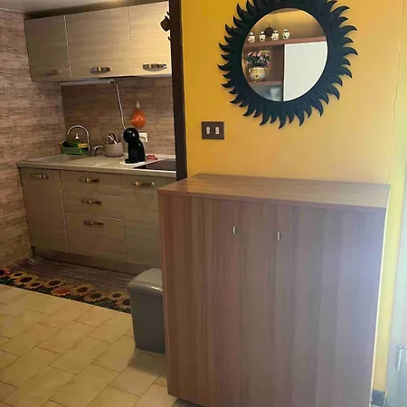 A * 锡尔维玛丽娜