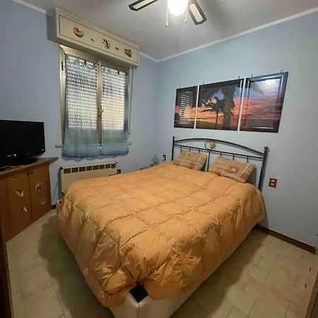 A 锡尔维玛丽娜