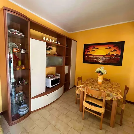 A * 锡尔维玛丽娜